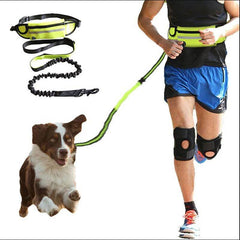 Hands-free dog leash with shock-absorbing bungee and adjustable waist belt for large dogs up to 180 lbs