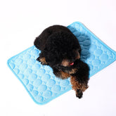 Pet Ice Mat cooling pad for dogs and cats in multiple colors and sizes