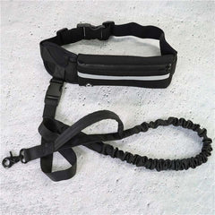 Hands-Free Dog Leash with Belt – Shock-Absorbing Bungee for Large Dogs (Up to 180 lbs