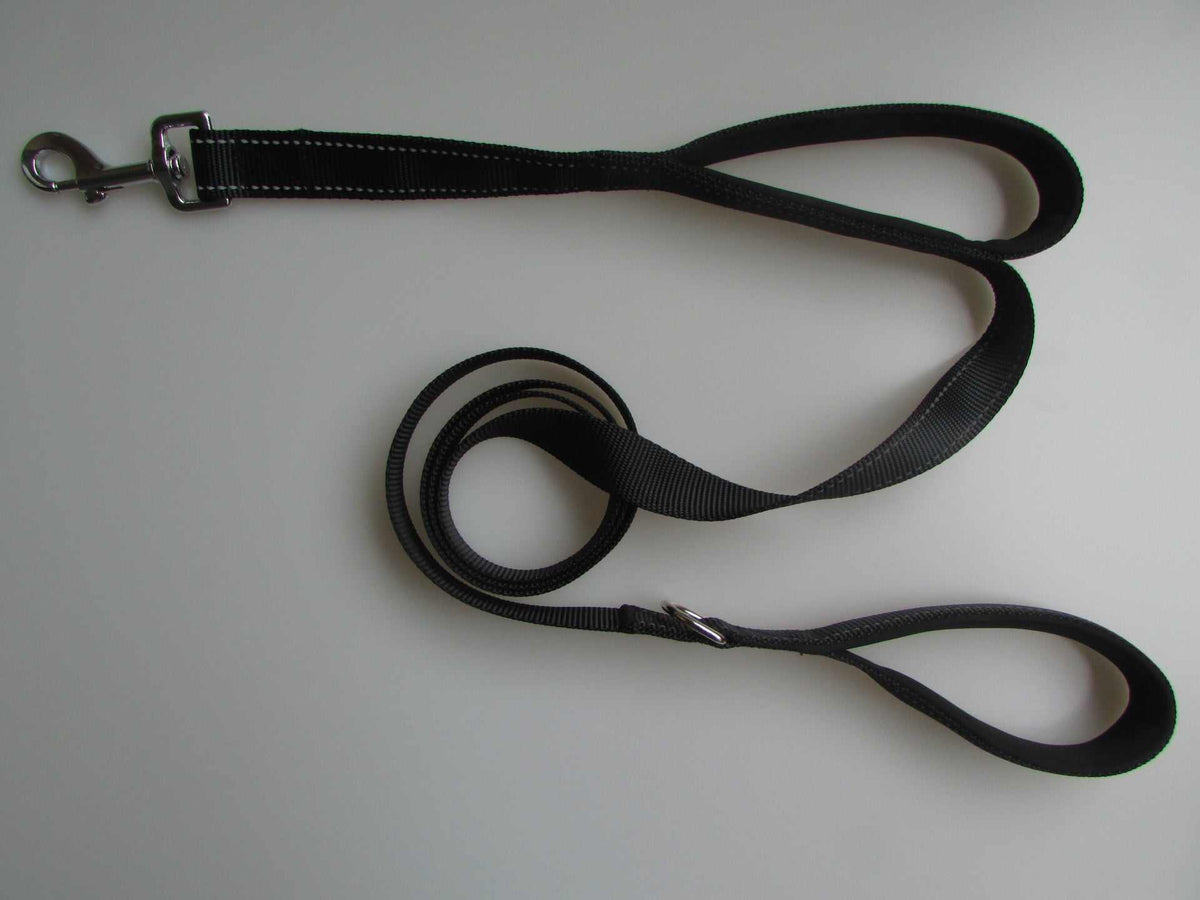 Pet Double Handle Pull Leash