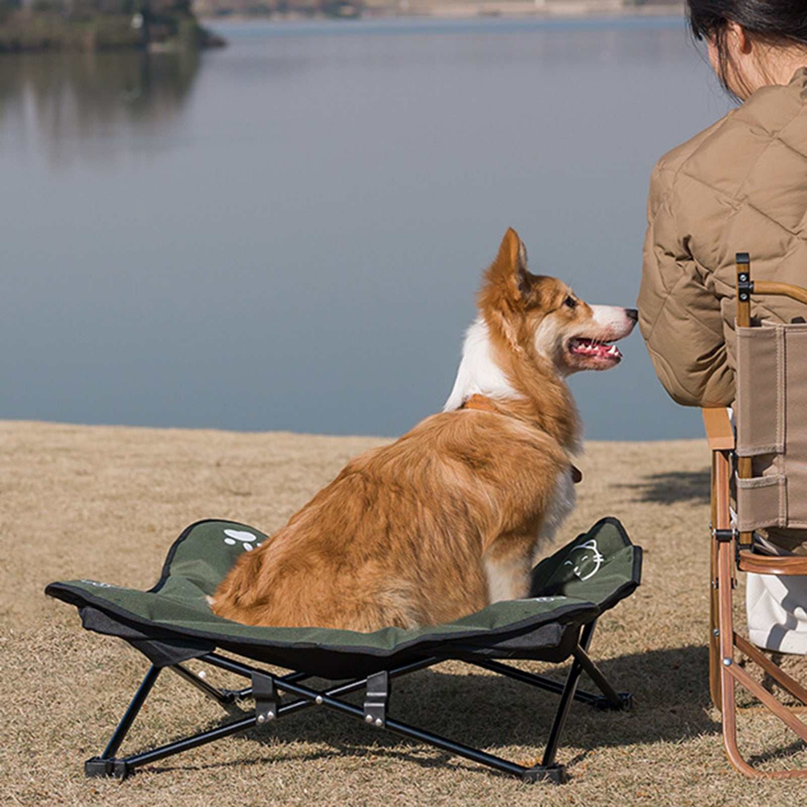 Outdoor pet bed with aluminum alloy frame and washable Oxford cloth, foldable and durable for camping and indoor use