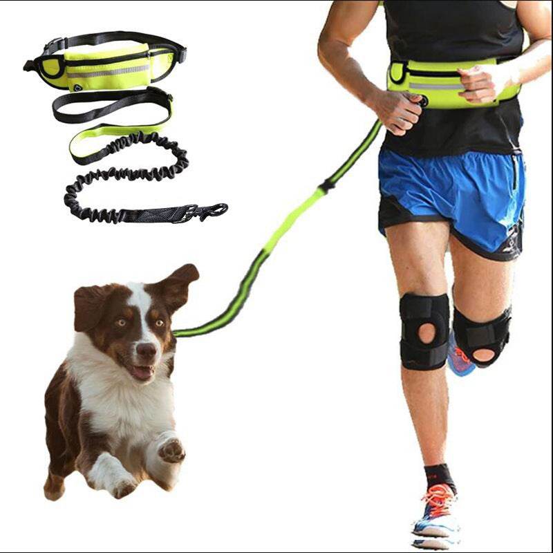 Hands-free dog leash with shock-absorbing bungee and adjustable waist belt for large dogs up to 180 lbs